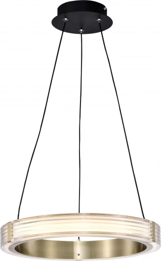 736241 Подвесной светильник светодиодный Lightstar Rotonda 736241 (220V, на тросе, кольцо)