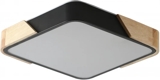 ZRS.01281.48 Потолочный светильник Zortes Alberro ZRS.01281.48 (LED, 220V)