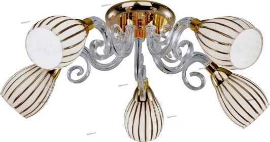 046/5PL Myone 046 046/5PL