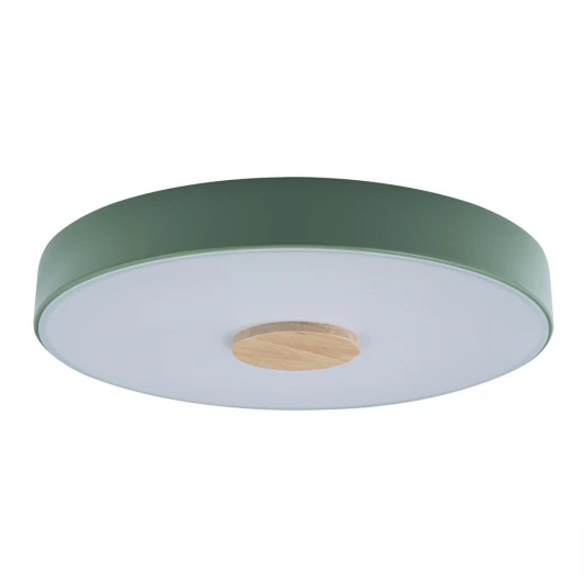 10003/24 Green Потолочный светильник круглый Loft IT Axel 10003/24 Green (LED, 220V, круглые)