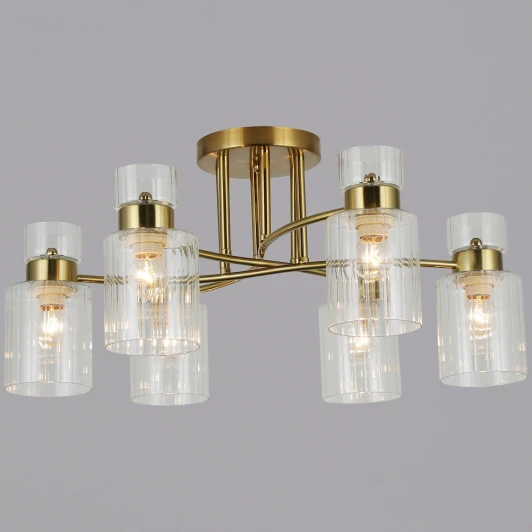 05570-0.3-06 Потолочная люстра на штанге Reluce 05570-0.3-06