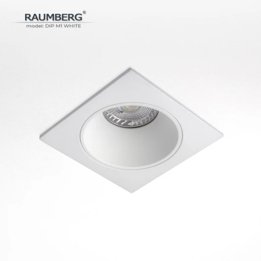 DipM1Wh Встраиваемый светильник Raumberg DIP M1 White