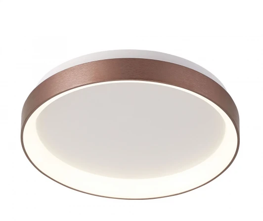 348134 Потолочный светильник Deko-Light Mirach 348134