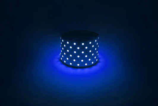 LS5050-14,4-60-12-B-IP20-1 year-5m Светодиодная лента 12V 5м синий ЭРА LS5050-14,4-60-12-B-IP20-1 year-5m