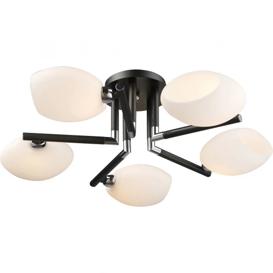 433-05-13 chrome + dark wengue Потолочная люстра N-Light 433 433-05-13 chrome + dark wengue