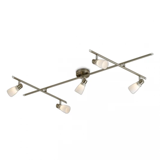 2066/5C Спот Odeon Light Terza 2066/5C