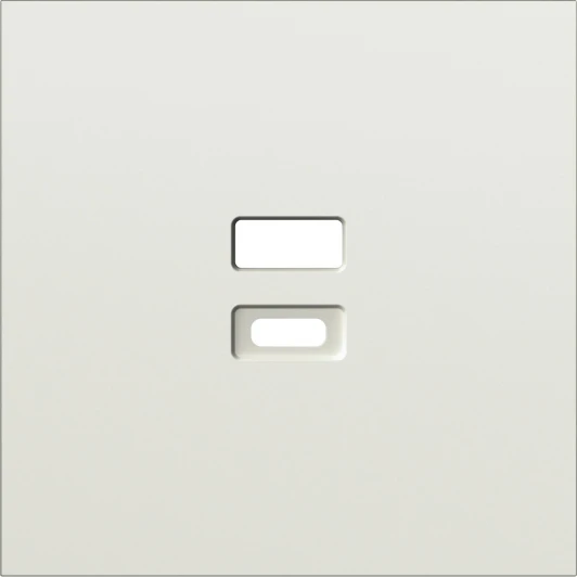 DS28651 Накладка для розеток USB, шампань Donel S08 DS28651