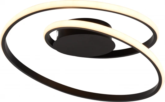 6143-101 Потолочная люстра светодиодная с пультом регулировкой цветовой температуры и яркости Rivoli Nelly 6143-101 (220V)