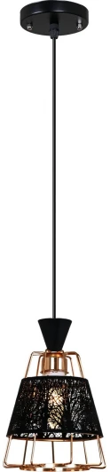02520-0.9-01 BK Подвесной светильник Reluce 02520-0.9-01 BK (220V, на проводе)