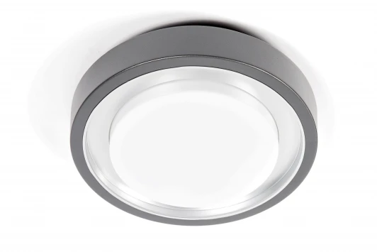 3351 Потолочный светильник уличный Oasis Light 3351