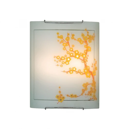 CL922141 Бра Citilux 922 CL922141