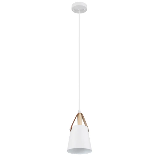 A7032SP-1WH Подвесной светильник Arte Lamp Thomas A7032SP-1WH (220V, на проводе)
