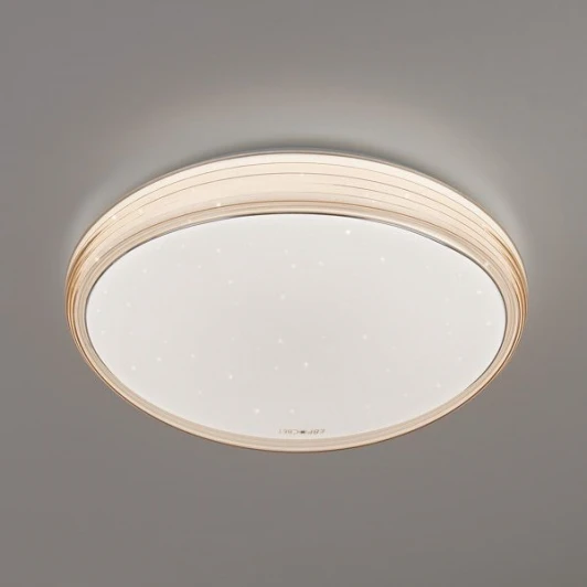 40008/1 LED кофе Потолочный светильник Elektrostandard 40008/1 LED кофе