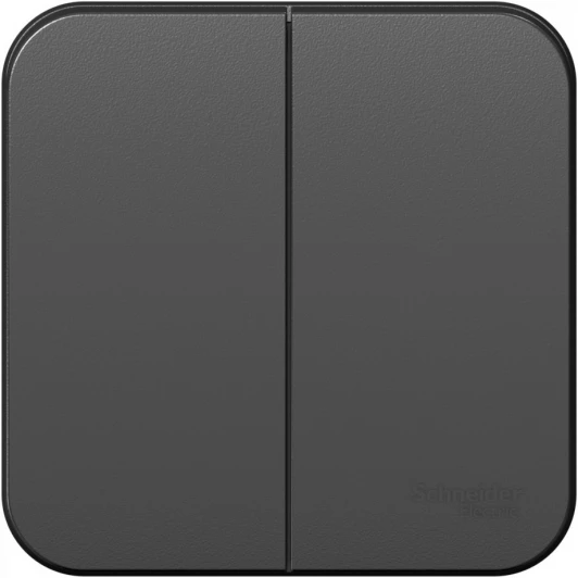 BLNVA105016 Выключатель накладной двухклавишный (антрацит) Systeme Electric Blanca BLNVA105016
