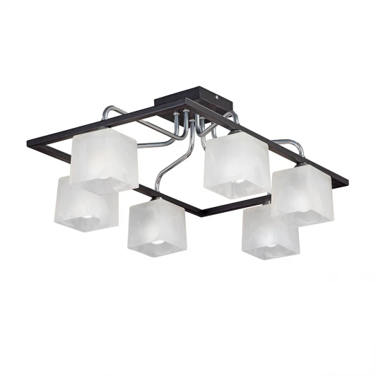 V4798-1/6PL Потолочная люстра Vitaluce V4798-1/6PL