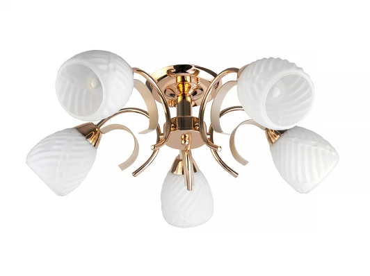 TL3530X-05FG Потолочная люстра Toplight Lenore TL3530X-05FG
