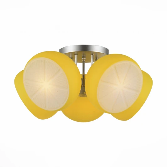 SL482.902.05 Потолочная люстра ST Luce Arancio SL482.902.05