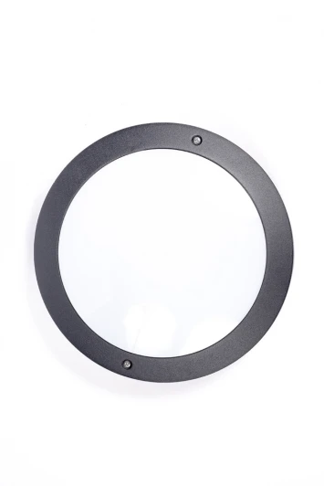 3172L Потолочный светильник уличный Oasis Light 3172L