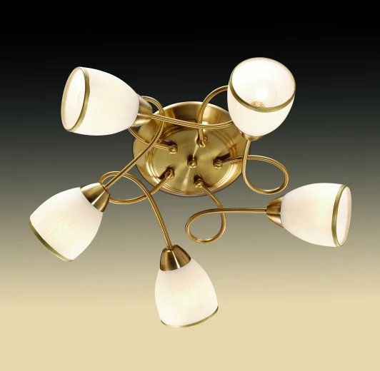 2561/5C Потолочная люстра Odeon Light Foko 2561/5C