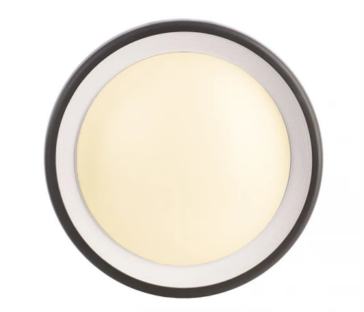 731043 Настенный уличный светильник Deko-Light Canis 731043