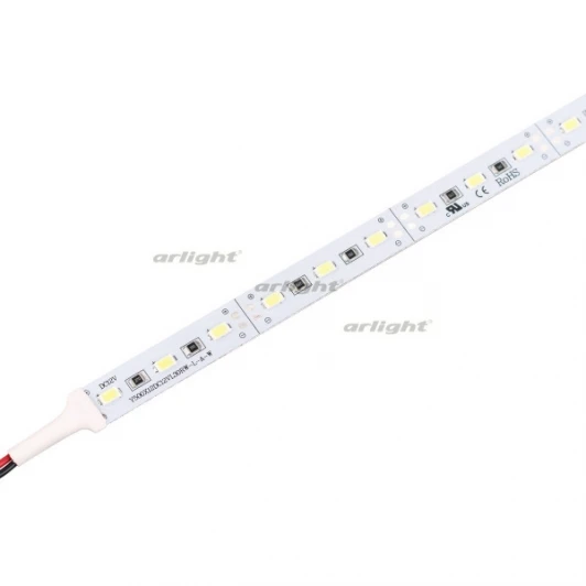 024351 Светодиодная лента Arlight ARL 024351