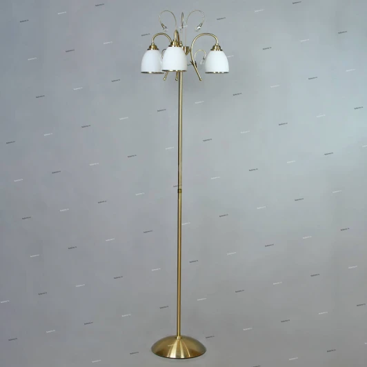 MA02640F/003 Bronze Brizzi Tarragona MA02640F/003 Bronze