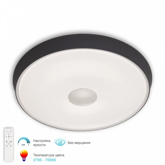 3306.B255-450 White/Grey Потолочный светильник светодиодный с ПДУ APL LED Turin 3306.B255-450 White/Grey