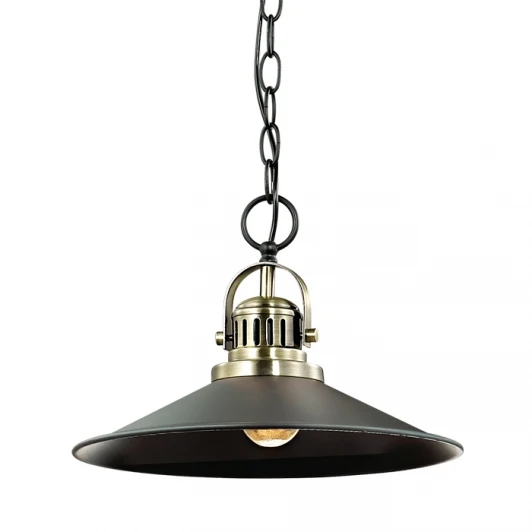 2898/1A Подвесной светильник Odeon Light Latura 2898/1A