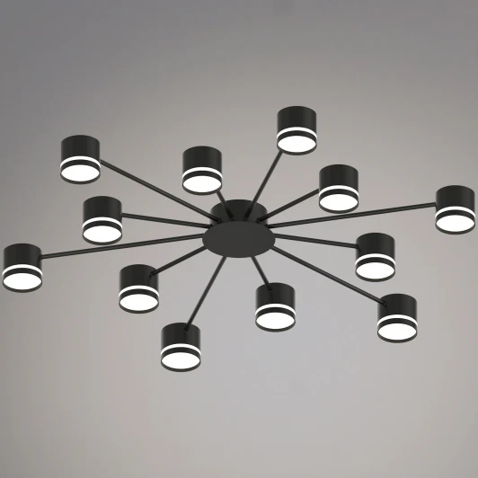 06730-0.3-12 GX53 BK Потолочная люстра Reluce 06730-0.3-12 GX53 BK