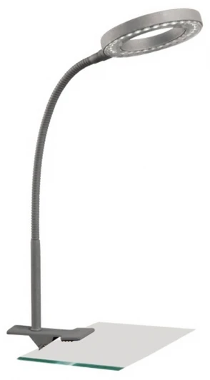 A9420LT-1SI Интерьерная настольная лампа Arte Lamp Led Desk A9420LT-1SI