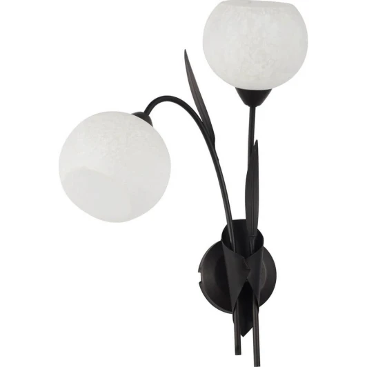 GRLSF-6291-02 Бра Lussole Loft Bagheria GRLSF-6291-02 (220V, цветы, шарики, листья, IP21)