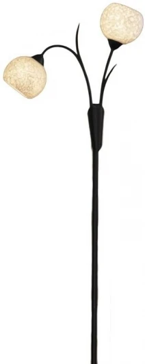 LSF-6295-02 Торшер Lussole Bagheria LSF-6295-02