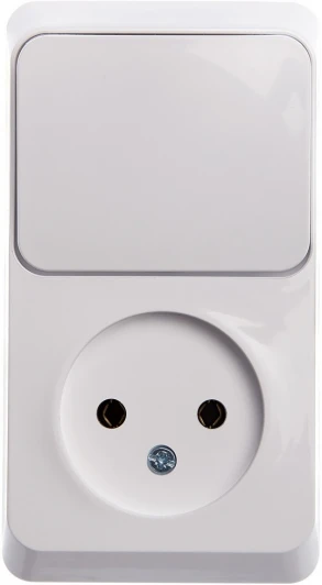 BPA16-204B Розетка накладная без заземления с одноклавишным выключателем (белый) Systeme Electric BPA16-204B
