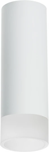 R48631 Точечный накладной светильник Lightstar Rullo R48631