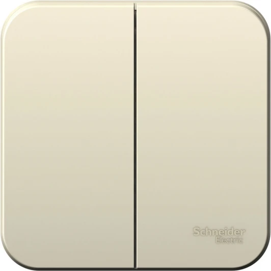 BLNVA065012 Выключатель накладной двухклавишный (молочный) Systeme Electric Blanca BLNVA065012