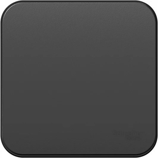 BLNCA101016 Выключатель накладной с самовозвратом одноклавишный (антрацит) Systeme Electric Blanca BLNCA101016