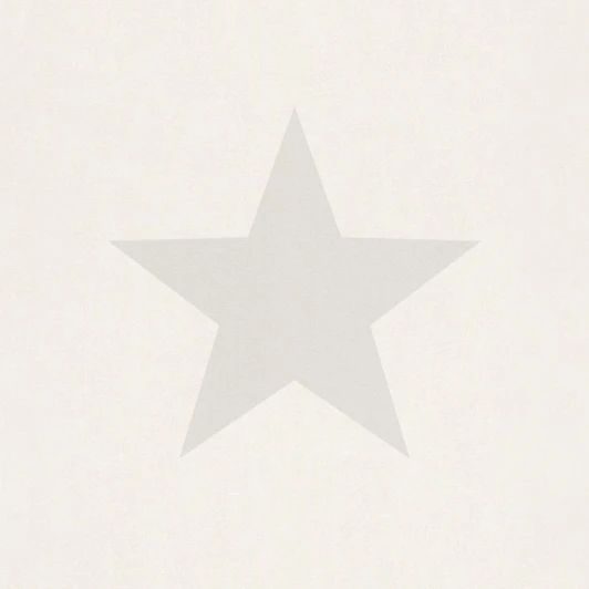 248135 Обои бумажные & Teens II 10,05 x 0,53 м Rasch Kids &amp 248135