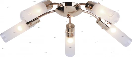 138/5PL Myone 138 138/5PL