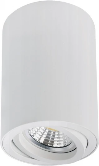 A1566PL-1WH Накладной потолочный светильник Arte Lamp Sentry A1566PL-1WH (220V, круглые)