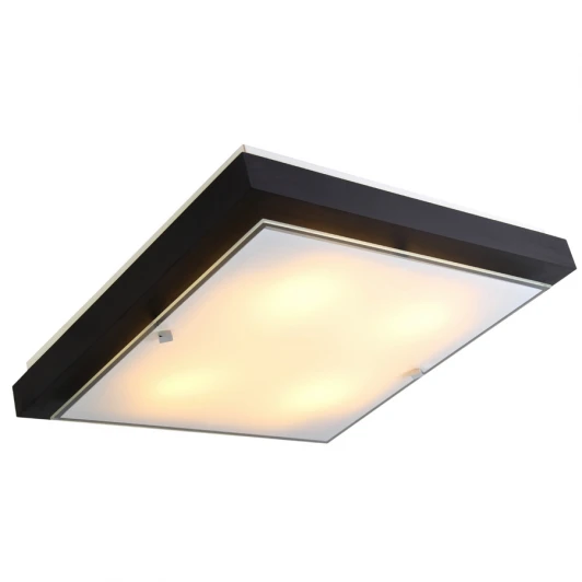 106-41-24/2 Настенно-потолочный светильник Дубравия Полина 106-41-24/2