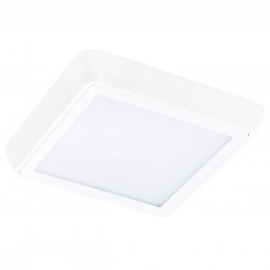 216804 Настенно-потолочный светильник Lightstar Urbano 216804 (LED, 220V, IP65)