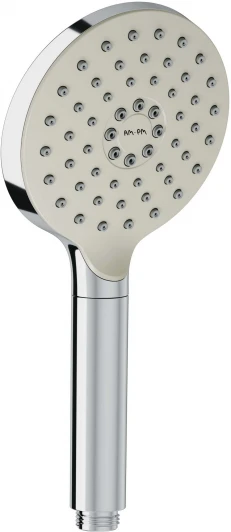 F0245A000 Душевая лейка Am.Pm Tender F0245A000