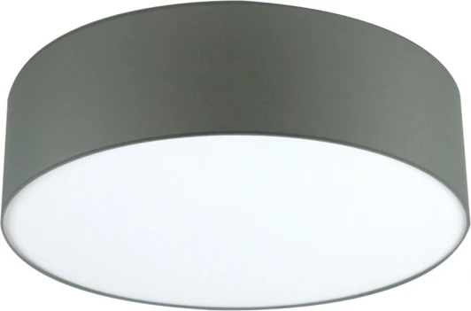 LH022028 Потолочный светильник круглый Lighthall Camerona 65 LH022028