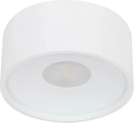 WTA.O01.007.30.07 Потолочный накладной светильник светодиодный Wertmark WTA WTA.O01.007.30.07 (220V, круглые, IP54)