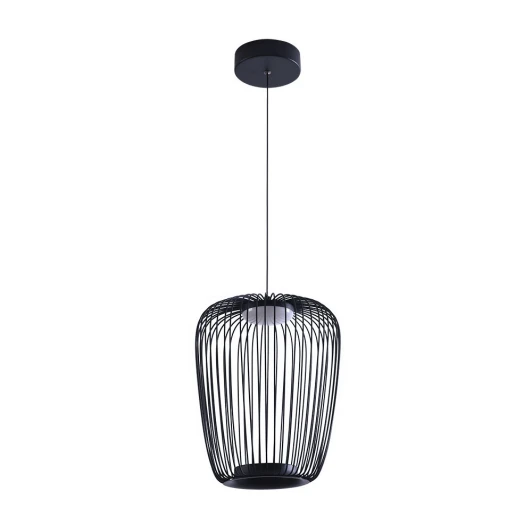 A3528SP-12BK Подвесной светильник Arte Lamp Flare A3528SP-12BK (LED, 220V, на проводе)