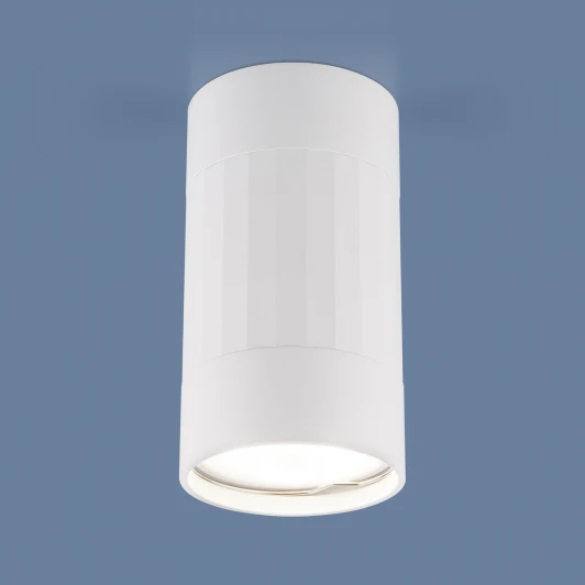 DLN111 GU10 Накладной точечный светильник Elektrostandard DLN111 GU10