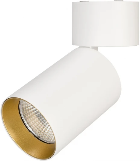 027559 Светильник SP-POLO-SURFACE-FLAP-R85-15W White5000 (WH-GD, 40 deg) (IP20 Металл) 027559