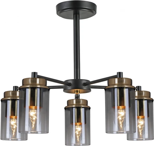 74662-0.3-05 Потолочная люстра на штанге Reluce 74662-0.3-05 (220V)