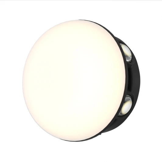 4853-1W Настенный уличный светильник светодиодный Favourite Option 4853-1W LEDx12W 3000K IP65