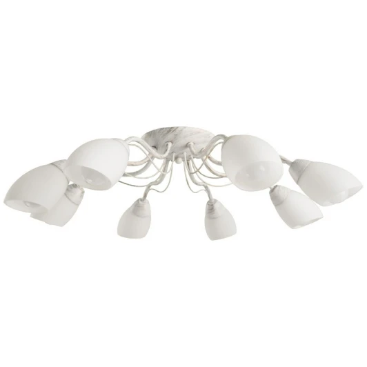 A8105PL-8WG Потолочная люстра Arte Lamp Carlo A8105PL-8WG